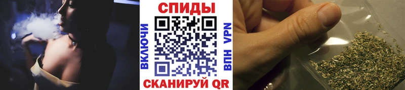 дарнет шоп  Зеленогорск  Бутират 1.4BDO 