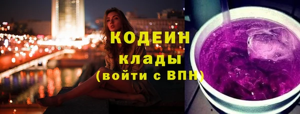 хмурый Алзамай