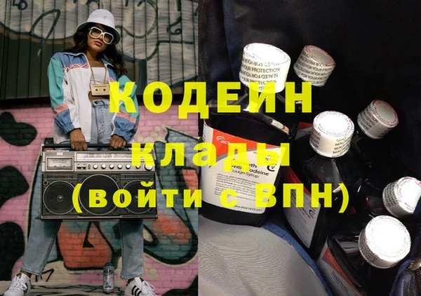 хмурый Алзамай