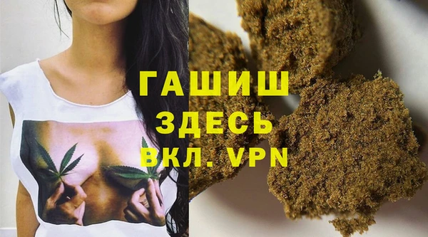 стафф Алексин