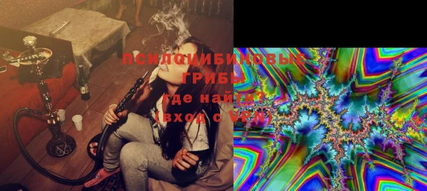сатива Абинск