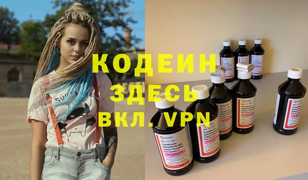 хмурый Алзамай