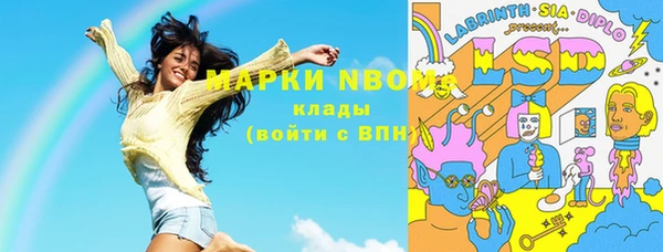 хмурый Алзамай