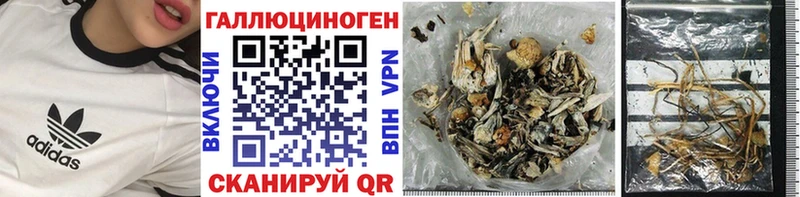 Галлюциногенные грибы Psilocybe  купить  сайты  Зеленогорск 