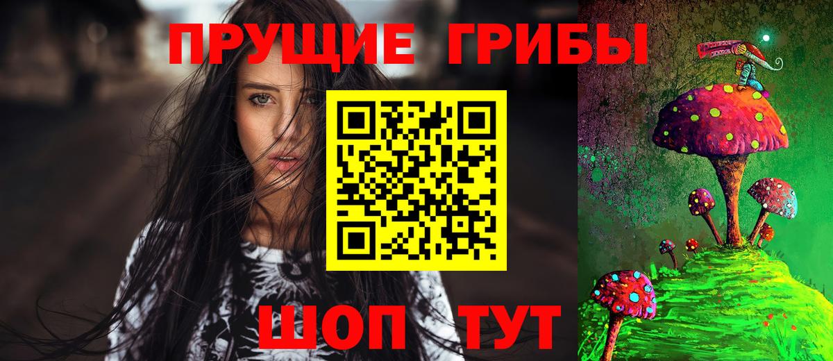 Псилоцибиновые грибы Psilocybine cubensis  Вход с VPN  Галлюциногенные грибы мицелий  Зеленогорск 